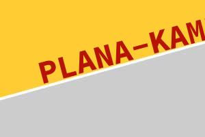 PLANA-KAMIN